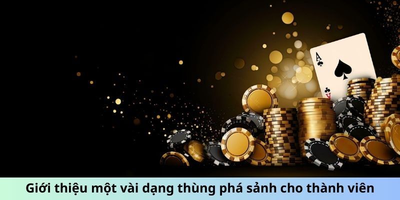 Giới thiệu một vài dạng thùng phá sảnh cho thành viên